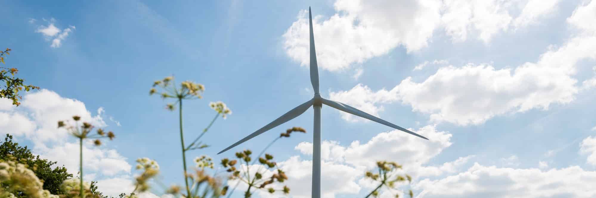 Directeur gestion d’actifs énergies renouvelables h/f Directeur gestion d’actifs énergies renouvelables h/f
