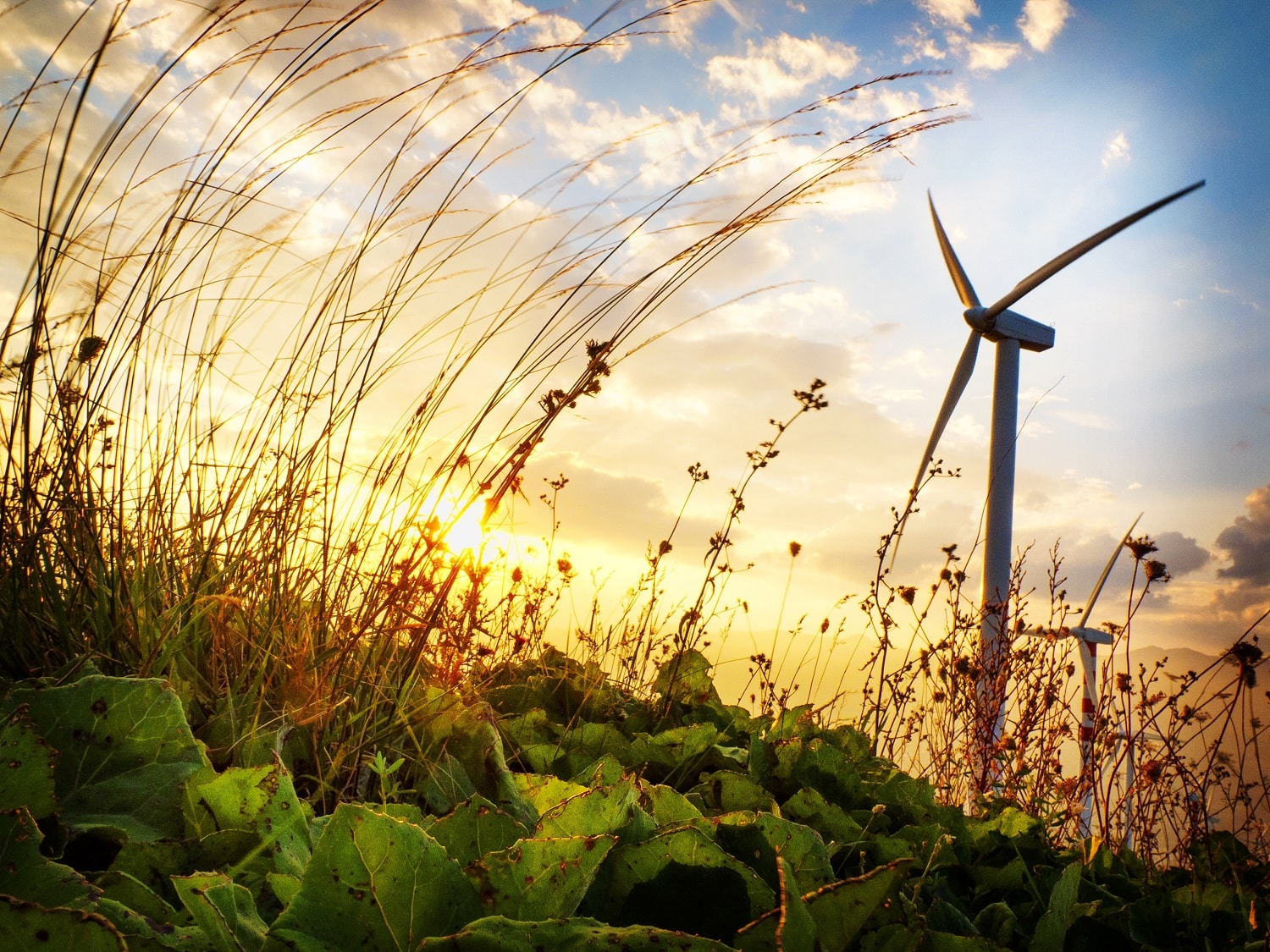 Responsable développement éolien h/f Responsable développement éolien h/f
