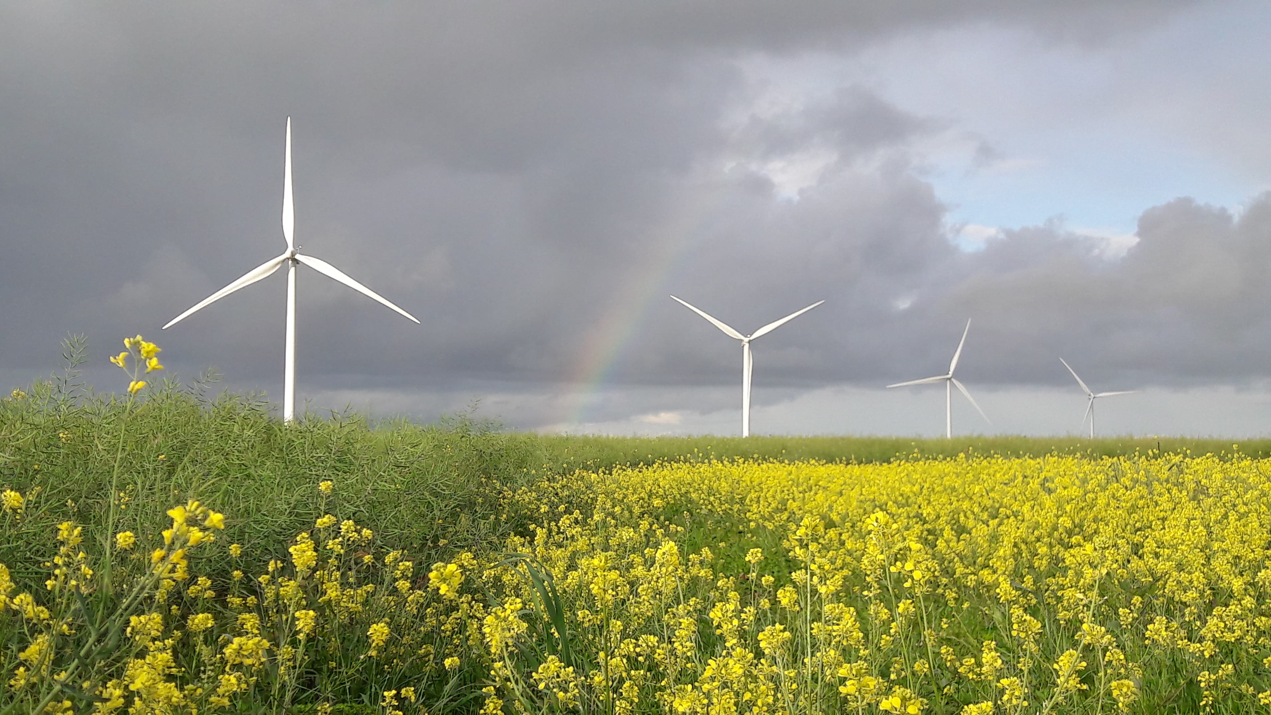 Chargé d’études – éolien h/f Chargé d’études – éolien h/f