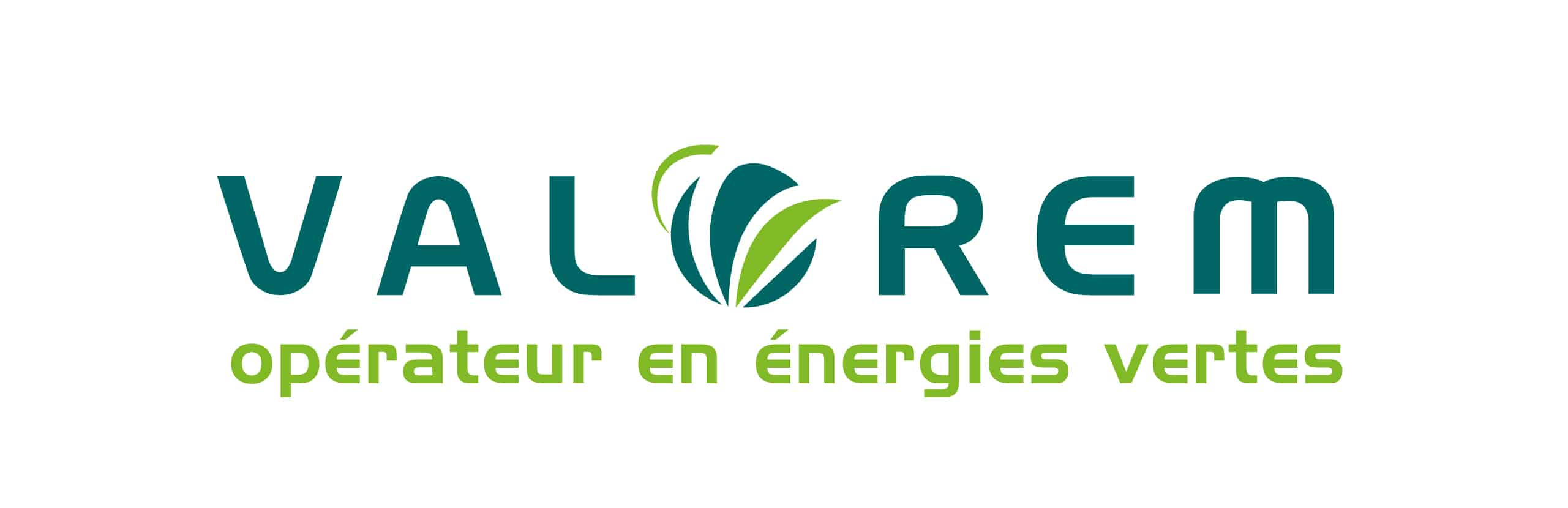 Directeur gestion d’actifs énergies renouvelables h/f Directeur gestion d’actifs énergies renouvelables h/f