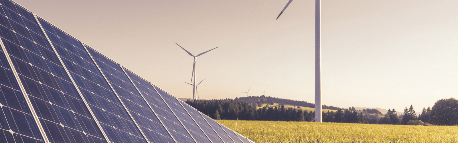 Renewable Energy Operations Manager m/f Renewable Energy Operations Manager m/f