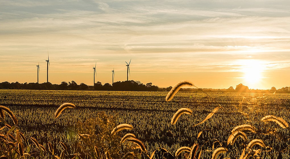 Responsable Raccordement Projets EnR France h/f Responsable Raccordement Projets EnR France h/f
